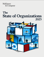 THE STATE OF ORGANIZATIONS 2023