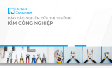 BÁO CÁO NGHIÊN CỨU THỊ TRƯỜNG KÌM CÔNG NGHIỆP