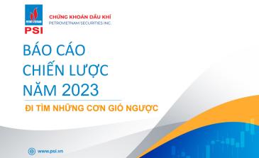 BÁO CÁO CHIẾN LƯỢC NĂM 2023