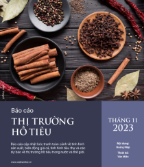 BÁO CÁO THỊ TRƯỜNG HỒ TIÊU THÁNG 11/2023